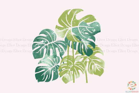 Monstera Leaves Design PNG: The Ultimate Greenery for Your Projects